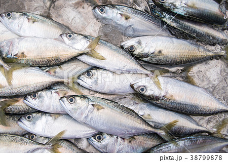 Fresh Group of fish in The Local Market 38799878