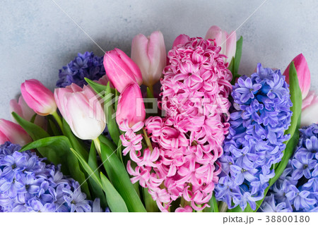 Hyacinth fresh flowers 38800180