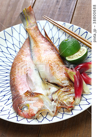 甘鯛若狭焼き 甘鯛若狭焼き 38800688
