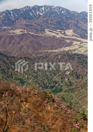 日光市・栗山月山のアカヤシオツツジと女峰山 38801959