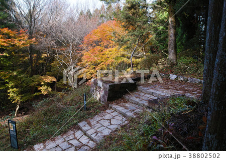【日本100名城】岩村城 土岐門跡 38802502