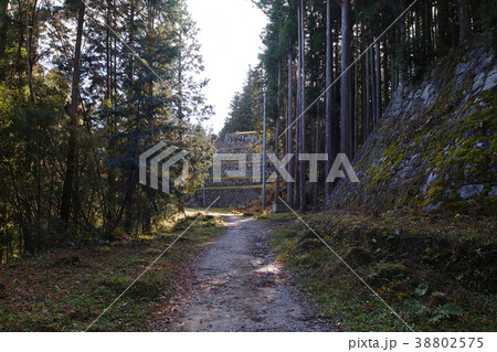 【日本100名城】岩村城 本丸六段壁（本丸の六段の石垣） 38802575