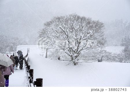 豪雪の年の白川郷 豪雪の年の白川郷 38802743