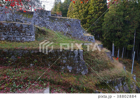 【日本100名城】岩村城 本丸六段壁(本丸の六段の石垣) 【日本100名城】岩村城 本丸六段壁(本丸の六段の石垣) 38802884