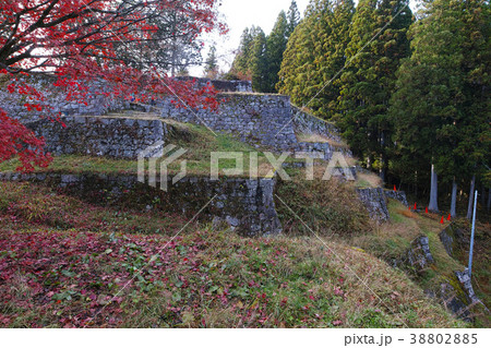 【日本100名城】岩村城 本丸六段壁（本丸の六段の石垣） 38802885