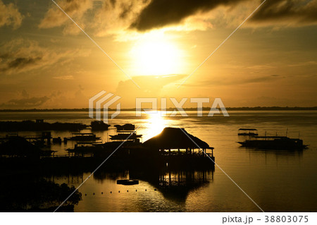 セブ島の夕日 セブ島の夕日 38803075