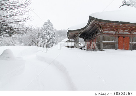 大山寺本堂(鳥取県) 大山寺本堂(鳥取県) 38803567