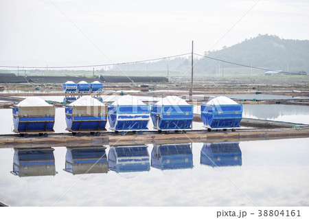 塩田 全羅南道 塩 38804161