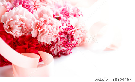 カーネーション 38804467