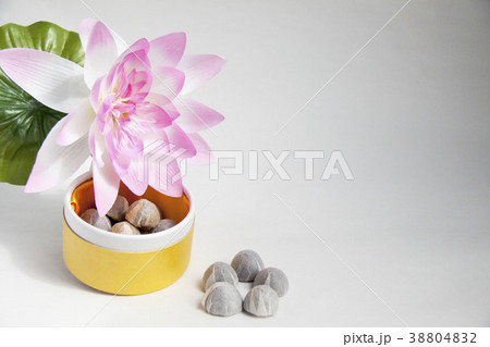 プーアル茶(沱茶) プーアル茶(沱茶) 38804832