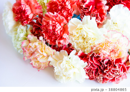 カーネーション 38804865