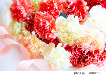 カーネーション 38804866