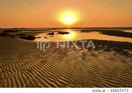 干潟 高敞郡 韓国 38805473