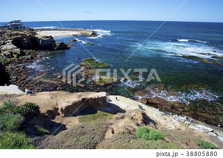 アメリカ合衆国カリフォルニア州サンディエゴのラホヤの海岸 アメリカ合衆国カリフォルニア州サンディエゴのラホヤの海岸 38805880