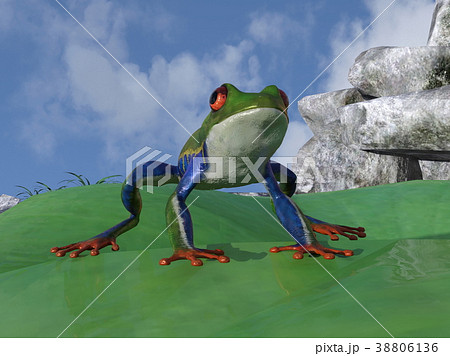 パラシュートフロッグ パラシュートフロッグ 38806136