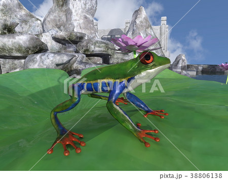 パラシュートフロッグ パラシュートフロッグ 38806138