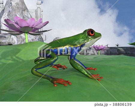 パラシュートフロッグ パラシュートフロッグ 38806139