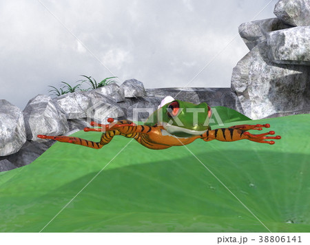 パラシュートフロッグ パラシュートフロッグ 38806141