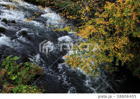阿寒滝見橋からの紅葉 阿寒滝見橋からの紅葉 38806405