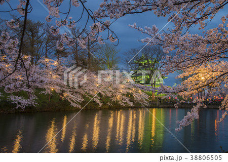 高田城の夜桜 38806505