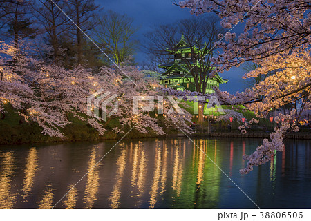 高田城の夜桜 高田城の夜桜 38806506