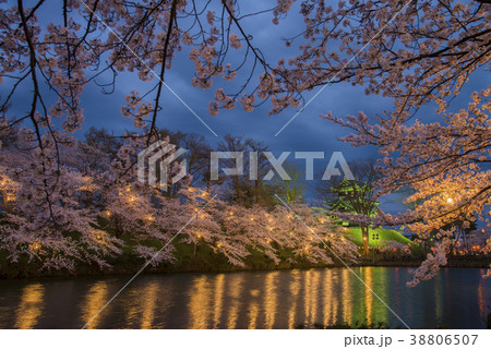 高田城の夜桜 高田城の夜桜 38806507