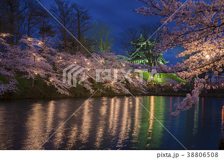 高田城の夜桜 高田城の夜桜 38806508