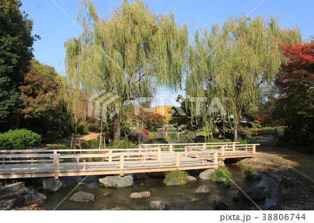 大仙公園 大仙公園 38806744