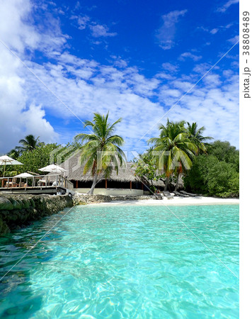 MaldivesMakunuduのコーヒーショップ 38808489