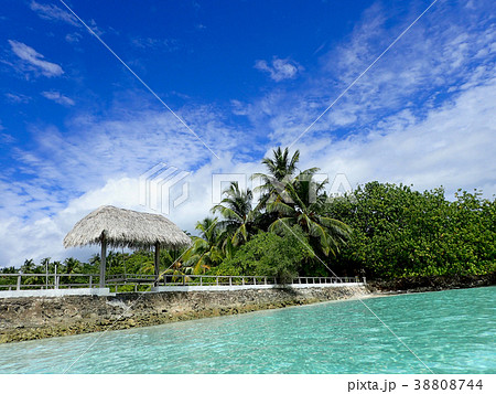 MaldivesMakunuduの桟橋 MaldivesMakunuduの桟橋 38808744