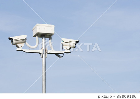Bird on the security cameras in garden on blue sky Bird on the security cameras in garden on blue sky 38809186