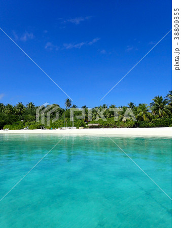 MaldivesMakunuduのビーチ MaldivesMakunuduのビーチ 38809355
