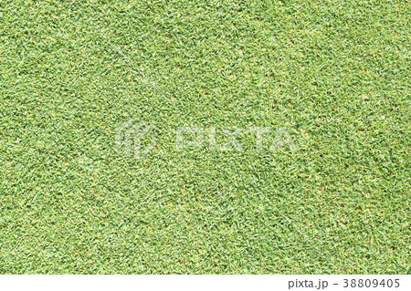 Beautiful green grass background texture. Beautiful green grass background texture. 38809405