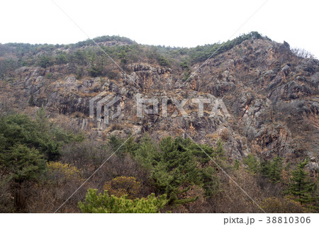 風景 屋外 室外 38810306