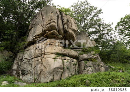 岩 石 グー 38810388