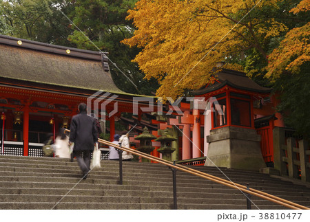 京都府　伏見稲荷大社　奥社に続く参道 38810477