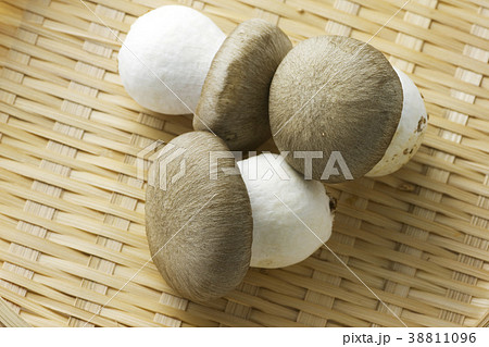 本しめじ16 本しめじ16 38811096