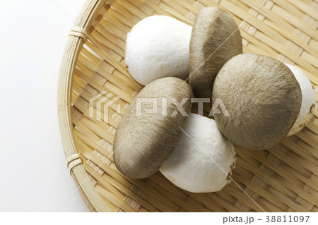 本しめじ17 本しめじ17 38811097