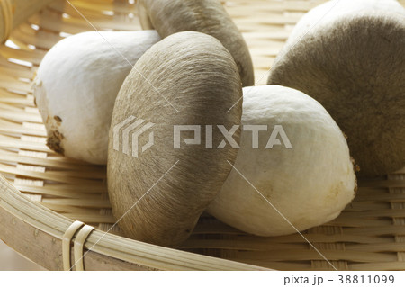 本しめじ19 38811099