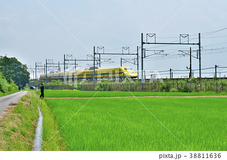 青田とドクターイエロー 38811636