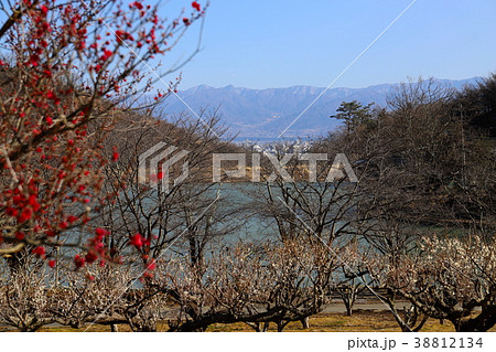 【山梨県】甲斐市敷島梅の里 【山梨県】甲斐市敷島梅の里 38812134