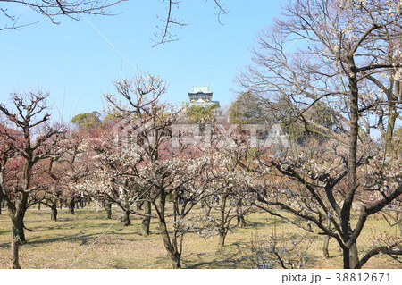 大阪城天守閣 38812671