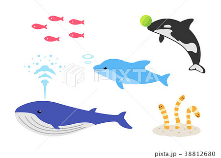 海の動物のイラスト素材 38812680 Pixta