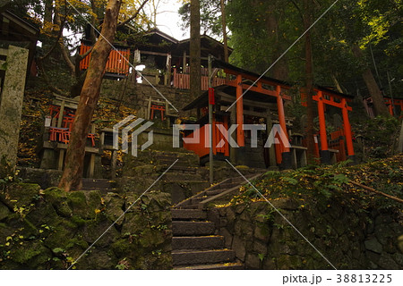 京都府 伏見稲荷大社 稲荷山の祠 京都府 伏見稲荷大社 稲荷山の祠 38813225