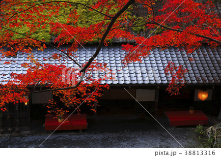 11月秋 平野屋 京都嵯峨野の茶屋 の写真素材