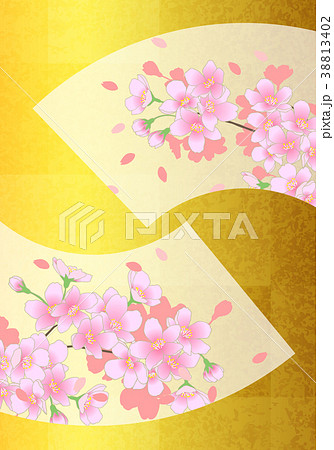 和柄　背景画像 38813402