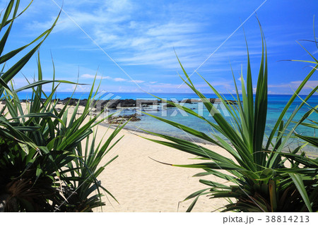 奄美大島 「手広海岸」 奄美大島 「手広海岸」 38814213