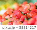 Fresh strawberry from farm in Northern Thailand 38814217