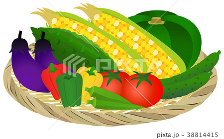 ザル盛り合わせ 夏の野菜 のイラスト素材