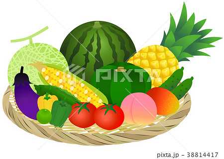 ザル盛り合わせ 夏の野菜とフルーツ のイラスト素材